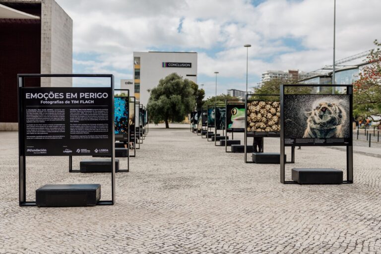 Emoções em Perigo: Tim Flach expõe em Lisboa